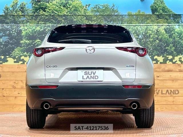 Mazda CX-30 2022-02 331992-15