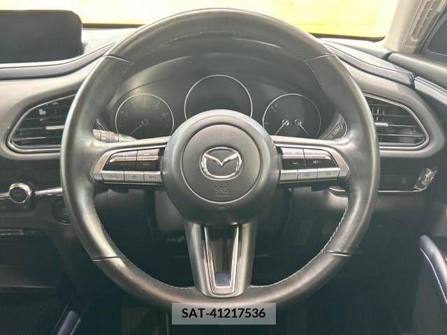 Mazda CX-30 2022-02 331992-11