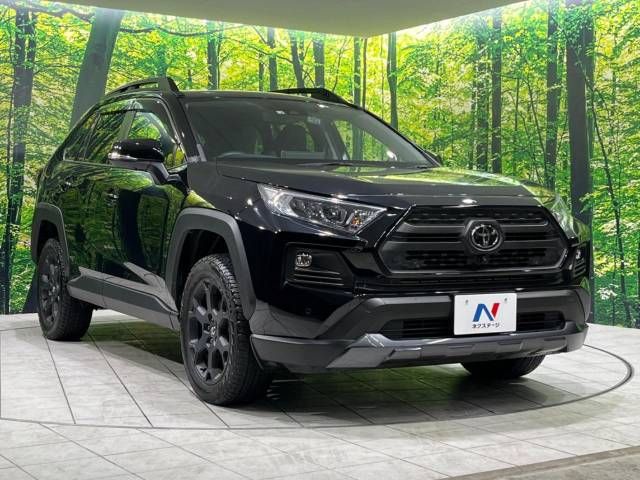 Toyota RAV4 2022-03 196221-16