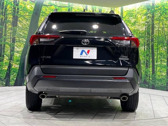 Toyota RAV4 2022-03 196221-15