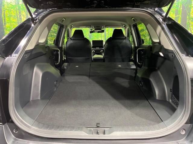 Toyota RAV4 2022-03 196221-10