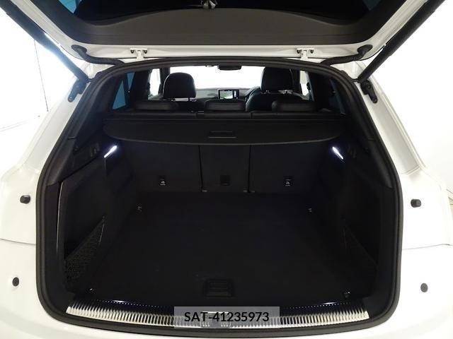 Audi SQ5 2018-08 356641-18