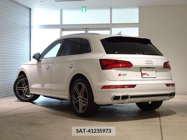 Audi SQ5 2018-08 356641-5