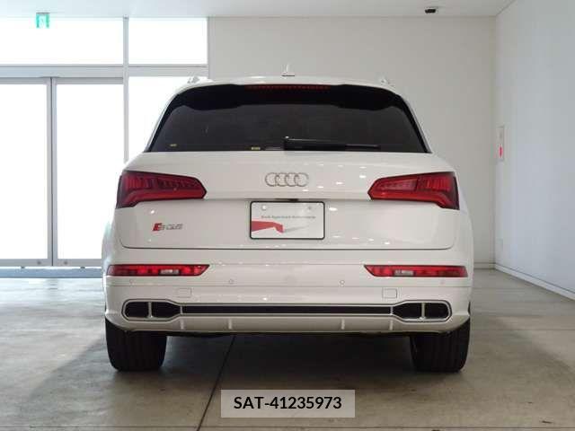 Audi SQ5 2018-08 356641-3