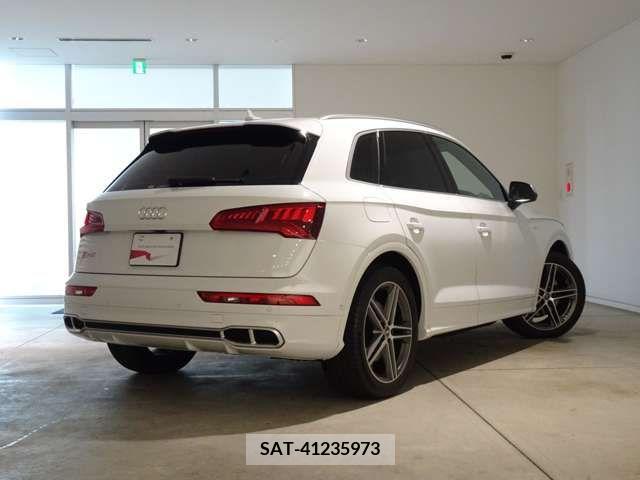 Audi SQ5 2018-08 356641-1