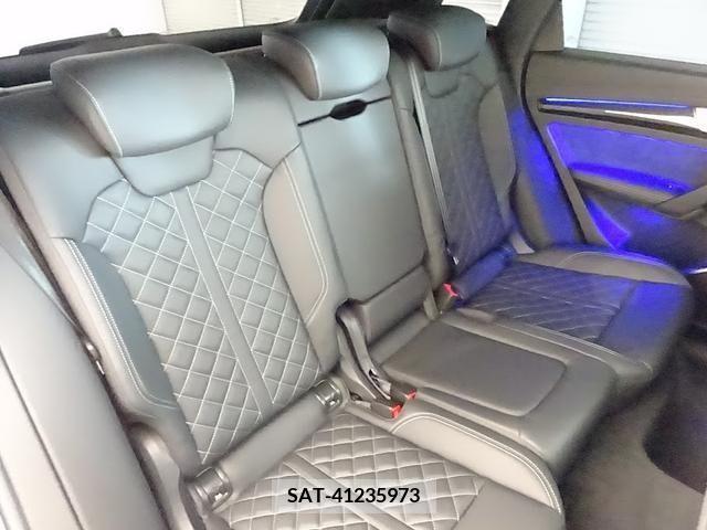 Audi SQ5 2018-08 356641-16