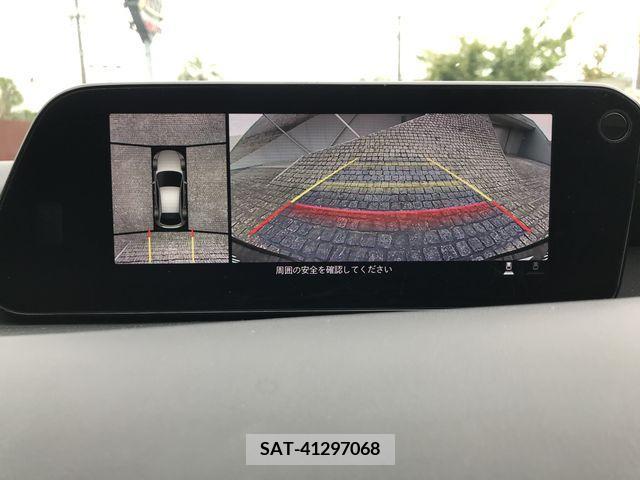 Mazda MAZDA3 2019-07 301039-15