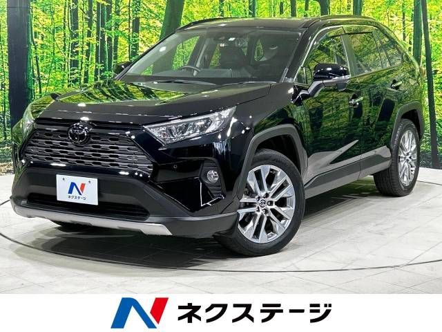 Toyota RAV4 2020-07 181753-0