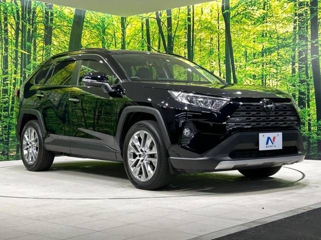 Toyota RAV4 2020-07 181753-19