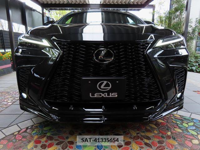 Lexus NX 2023-07 276049-3