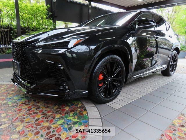 Lexus NX 2023-07 276049-8