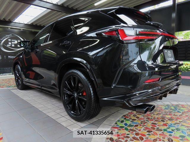 Lexus NX 2023-07 276049-11