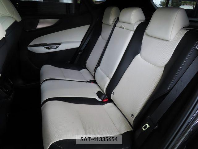 Lexus NX 2023-07 276049-18
