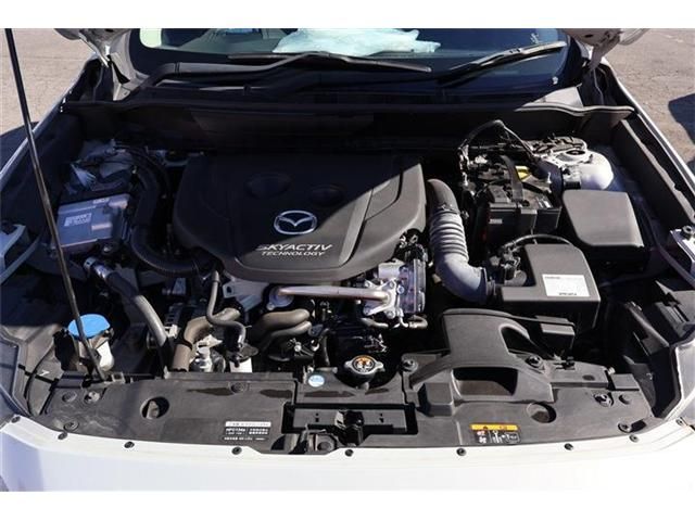 Mazda CX-3 2017-03 190446-27