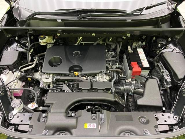 Toyota RAV4 2021-11 194618-18