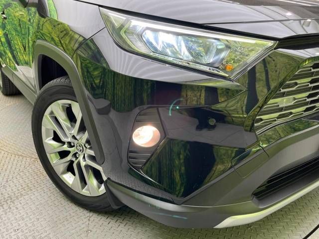 Toyota RAV4 2021-11 194618-12