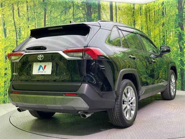 Toyota RAV4 2021-11 194618-17