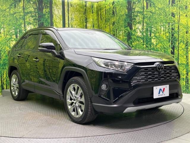 Toyota RAV4 2021-11 194618-16
