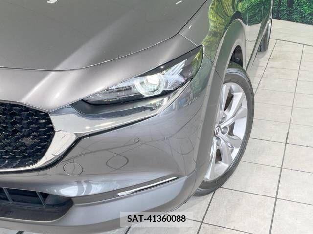 Mazda CX-30 2019-11 377214-12