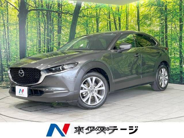 Mazda CX-30 2019-11 377214-0