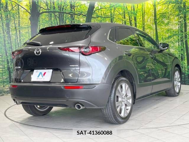 Mazda CX-30 2019-11 377214-17