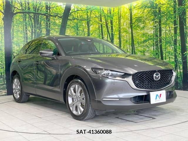 Mazda CX-30 2019-11 377214-16