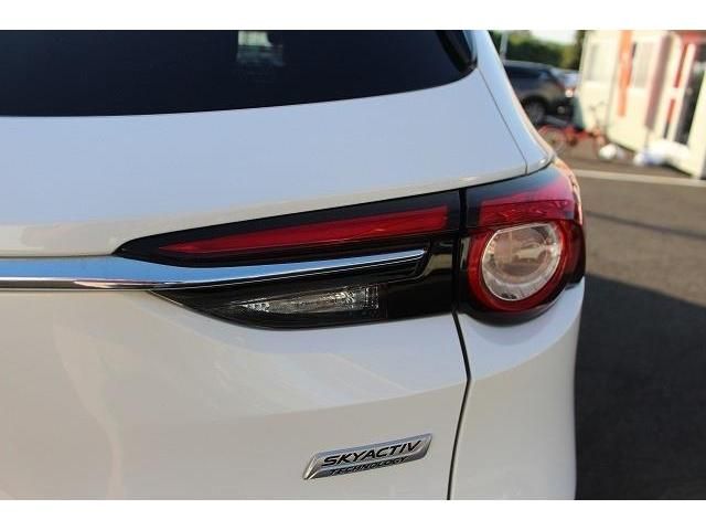 Mazda CX-8 2019-01 20008-10