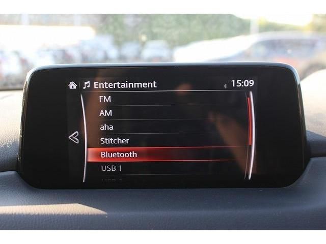 Mazda CX-8 2019-01 20008-3