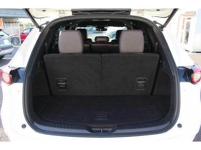 Mazda CX-8 2019-01 20008-16