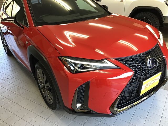 Lexus UX 2019-04 801-19