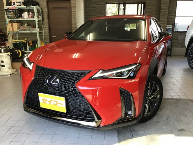 Lexus UX 2019-04 801-0