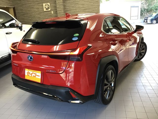 Lexus UX 2019-04 801-27
