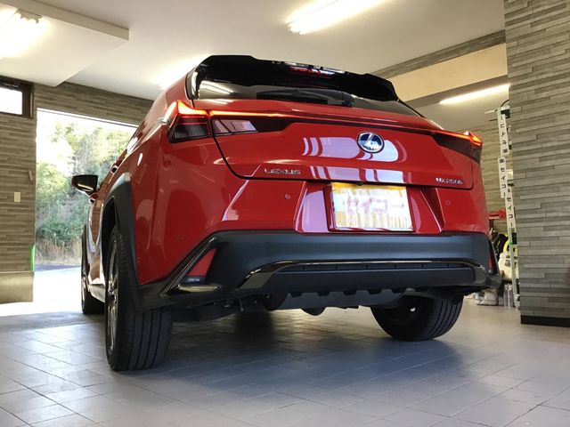 Lexus UX 2019-04 801-18