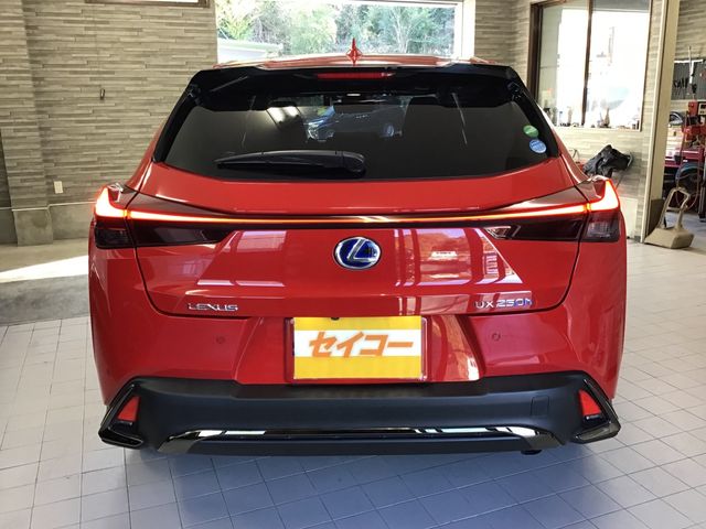 Lexus UX 2019-04 801-26