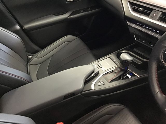 Lexus UX 2019-04 801-8