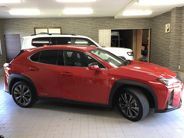 Lexus UX 2019-04 801-28