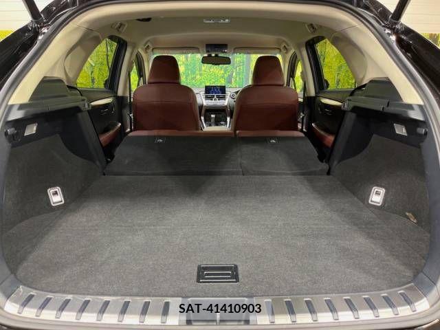 Lexus NX 2015-08 275695-10