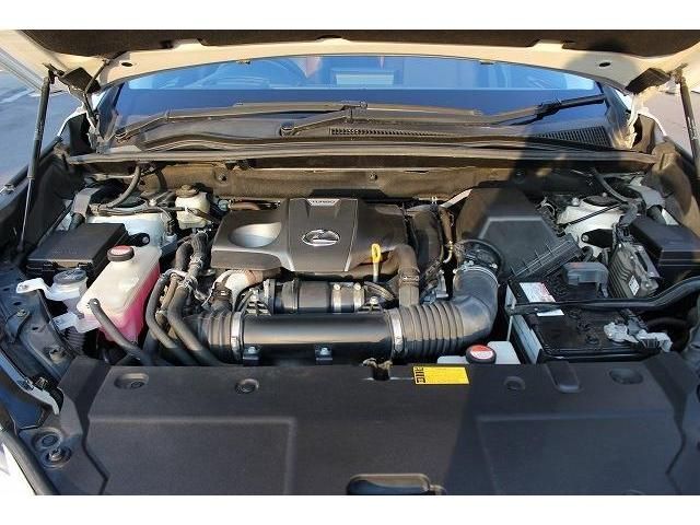 Lexus NX 2014-08 8290-18