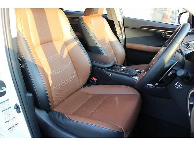 Lexus NX 2014-08 8290-13