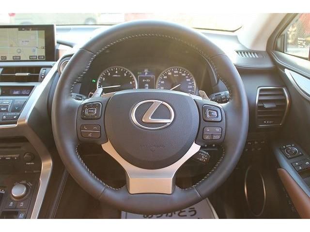 Lexus NX 2014-08 8290-16