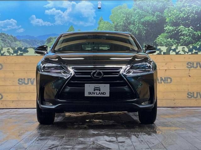 Lexus NX 2014-08 184982-15