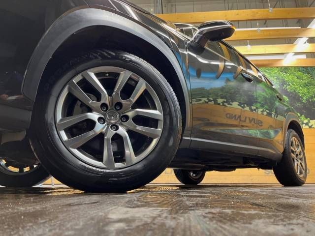 Lexus NX 2014-08 184982-14