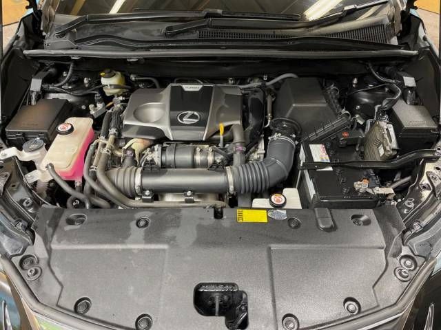 Lexus NX 2014-08 184982-17