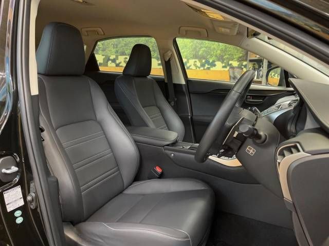 Lexus NX 2014-08 184982-10