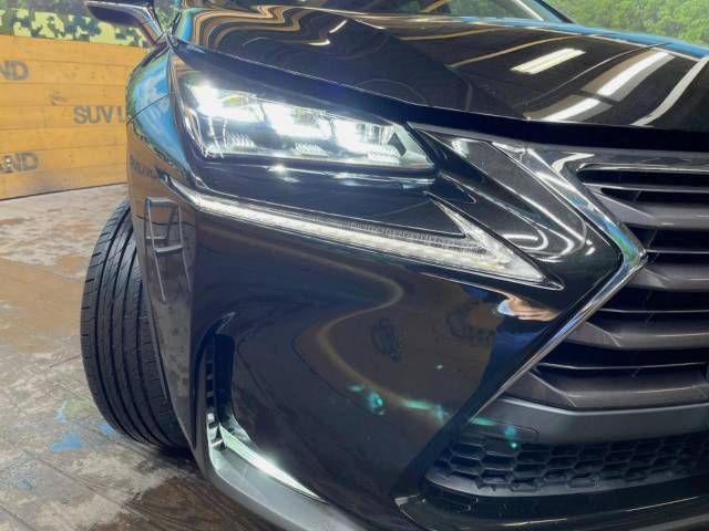 Lexus NX 2014-08 184982-13