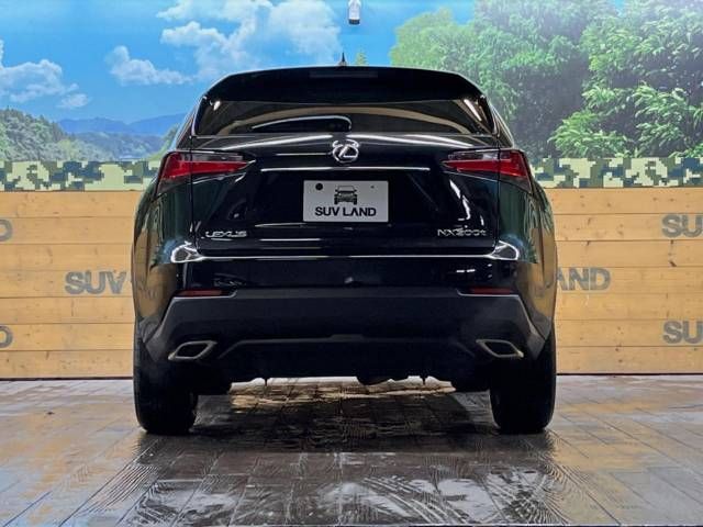 Lexus NX 2014-08 184982-16