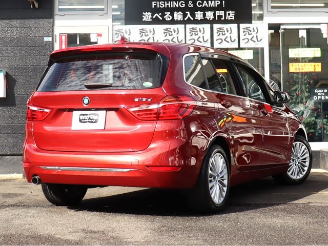 Bmw 2 SERIES 2016-01 190198-29