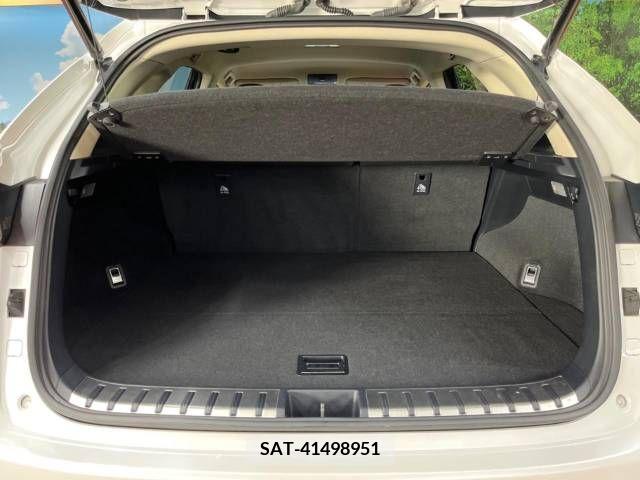 Lexus NX 2015-10 275593-10