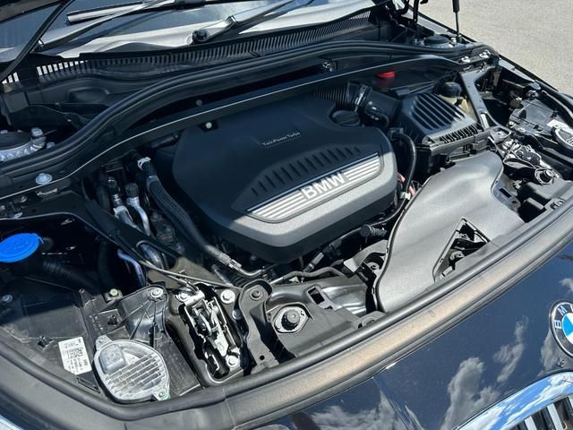 Bmw 1 SERIES 2022-06 29141-6