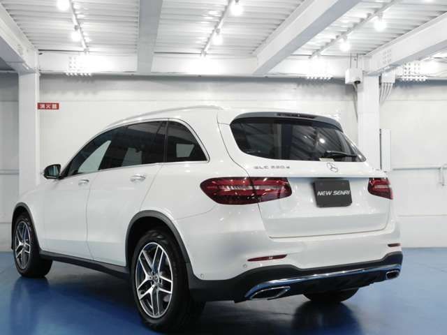 Mercedes Benz GLC-CLASS 2018-11 192149-1